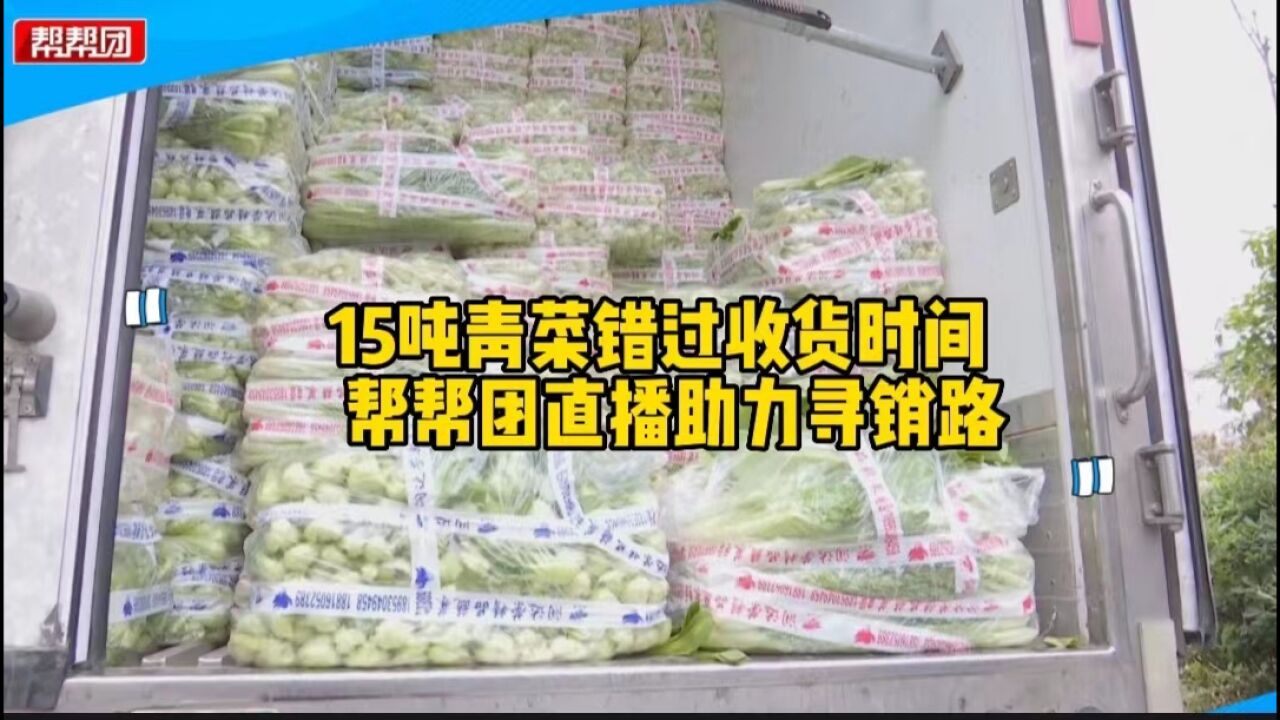 货车半路抛锚 15吨青菜无法按时交货 网友爱心发力助司机返乡