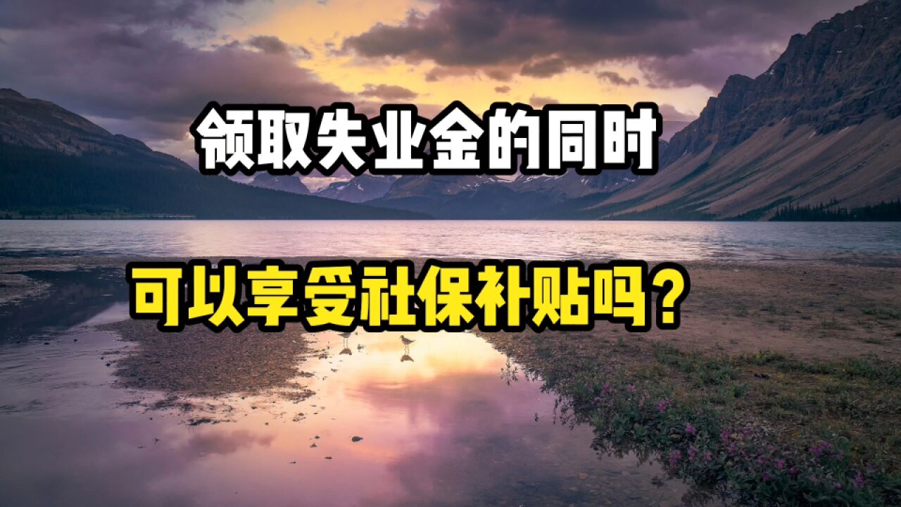 领取失业金的同时,可以享受社保补贴吗?