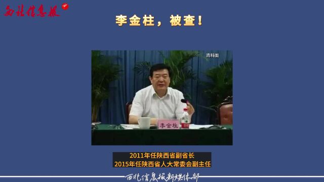 李金柱,被查!