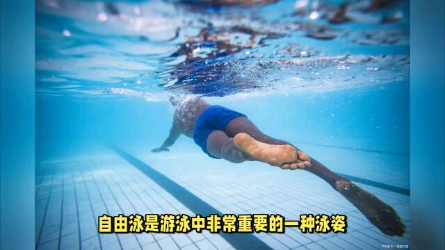 自由泳教学五个步骤