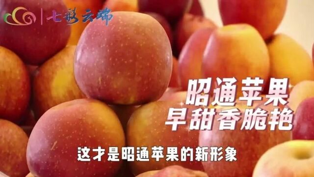 高质量发展调研行 | 【七彩云端】昭通“丑苹果”变帅啦!