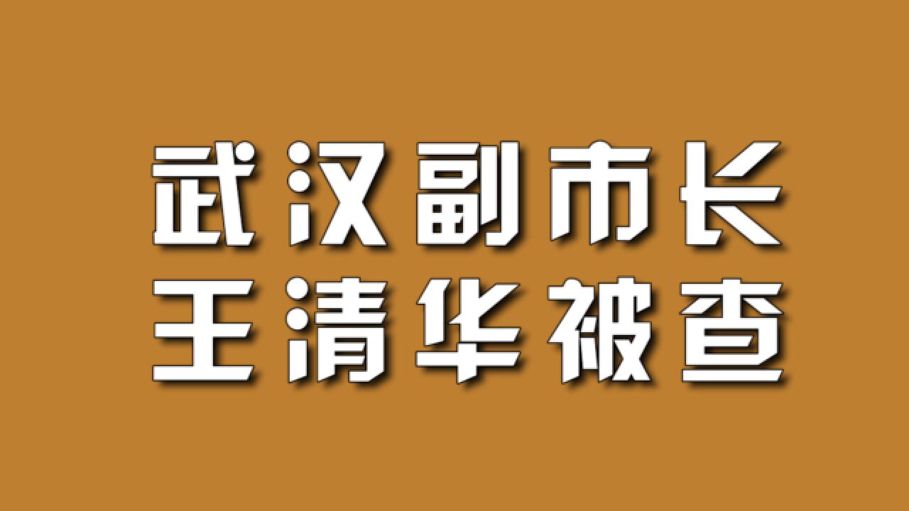 武汉副市长王清华被查.