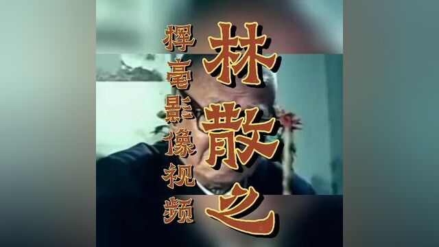 林散之挥毫影像视频 #鉴赏 #林散之 #林散之书法