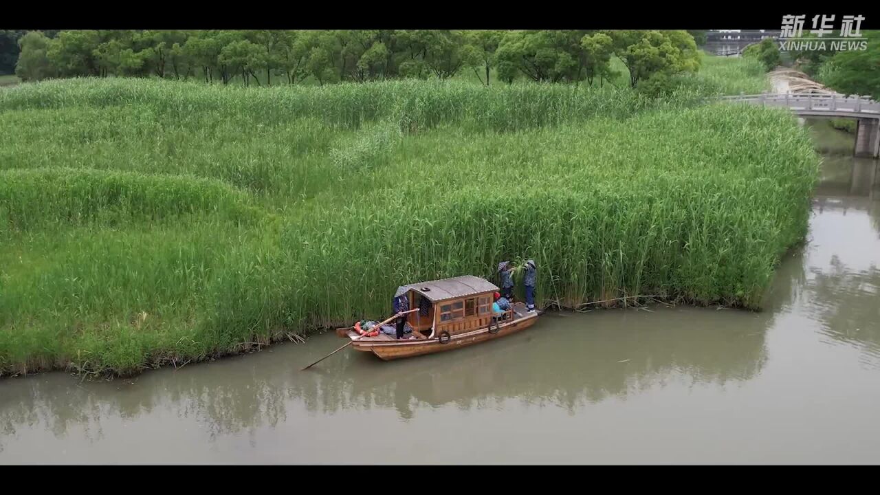 四季旅行|夏日常熟 万物竞生