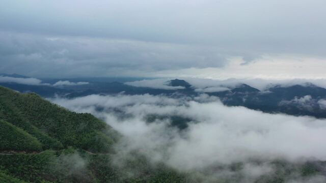 红视频|常宁塔山:雨后山乡 云雾飘渺