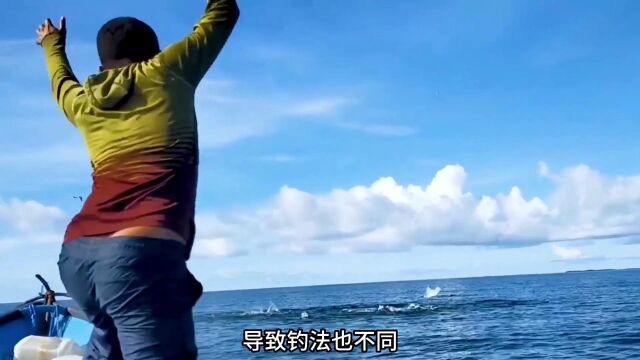 掌握了这4点,海边钓鱼也能爆箱,第二集