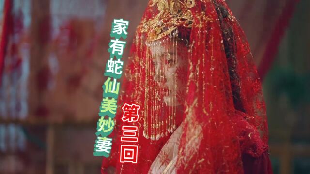 家有蛇仙美丽妻:人妖三生来人间,今生有缘喜结良缘