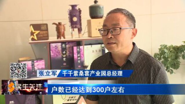 【乡村振兴在行动】行唐县发展“桑树经济” 拉长致富“链”