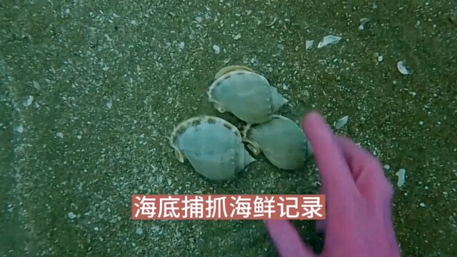 渔民海底捕鱼日常生活实拍