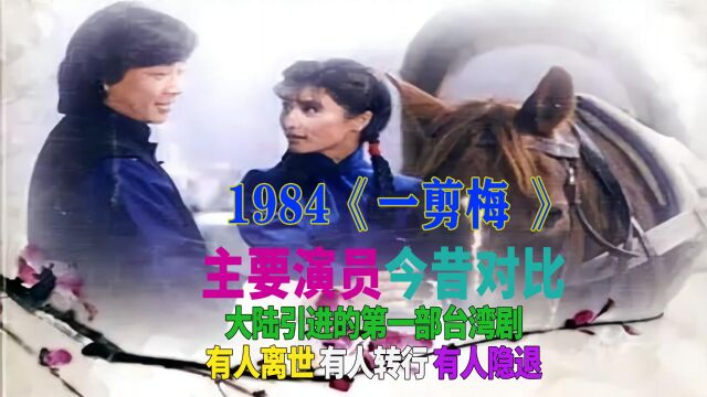 1984一剪梅演员今昔,内地引进的第一部台剧,主题曲成就小哥