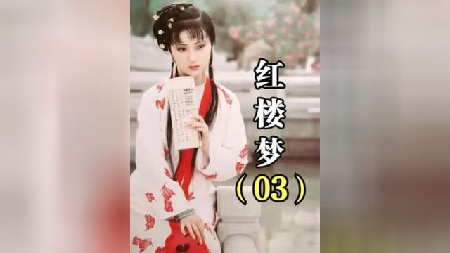 红楼梦第3集丨凤辣子王熙凤登场,未见其人先闻其声