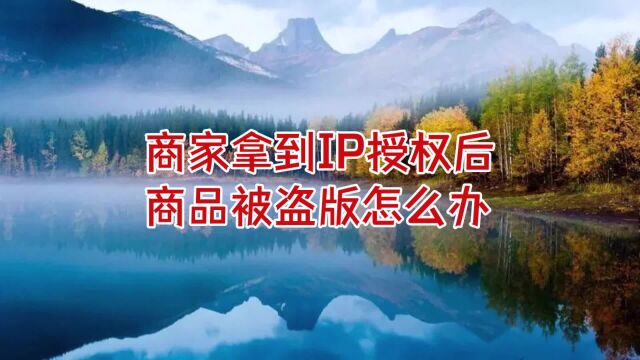 商家拿到IP授权后发现产品被盗版怎么办