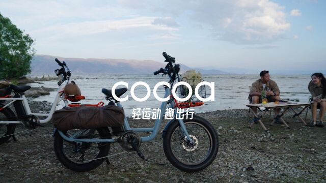 雅迪COCOA