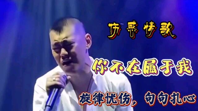 伤感催泪情歌《你不再属于我》句句扎心催泪,听哭了多少痴情人.