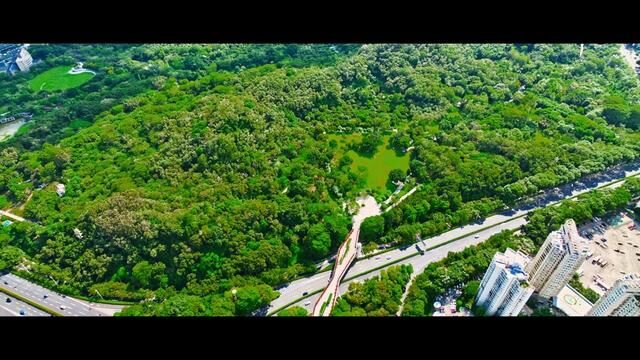 《大美中国ⷨ爥䏣€‹深圳篇,记录了深圳的夏日风光,祖国的生态文明建设,新时代粤海街道的蓬勃发展#粤港澳大湾区 #科技之都深圳