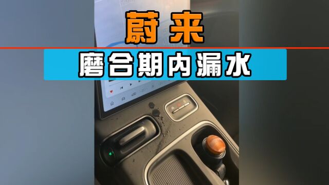 郁闷!提车四个月,磨合期内蔚来漏水