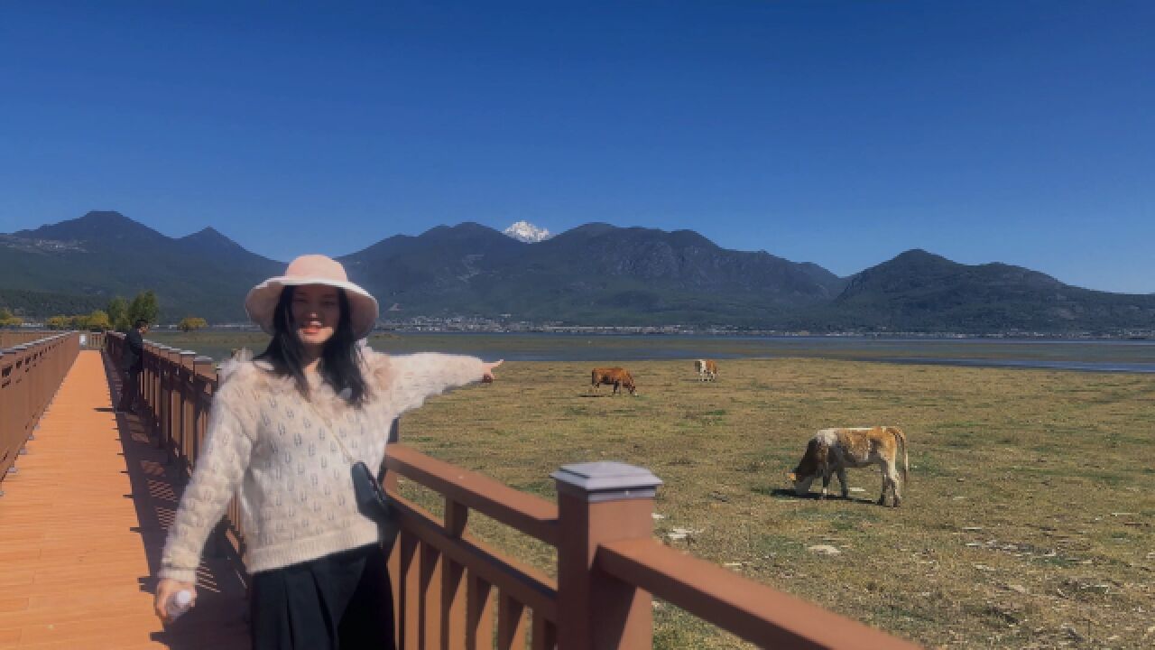 拉市海遥看玉龙雪山,极致美景,0元门票