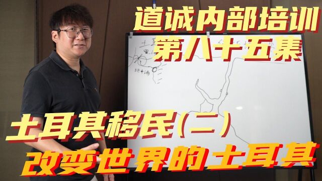 土耳其曾经靠一己之力改变全世界的格局?伊斯坦布尔凭什么被拿破仑称作世界的首都?