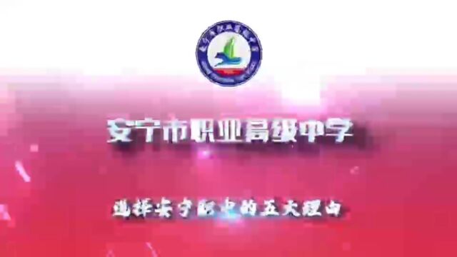 安宁市职业高级中学:一、五年制大专:我校与云南水利水电职业学院,昆明工业职业技术学院,云南交通运输职业学院,云南轻纺职业学院四所