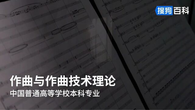 作曲与作曲技术理论:音乐与舞蹈学类专业