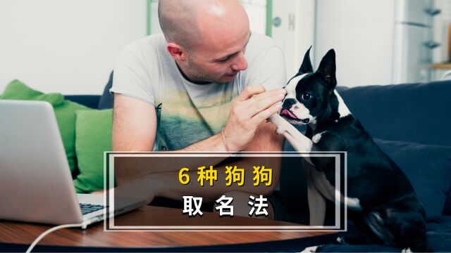 6种狗狗取名法