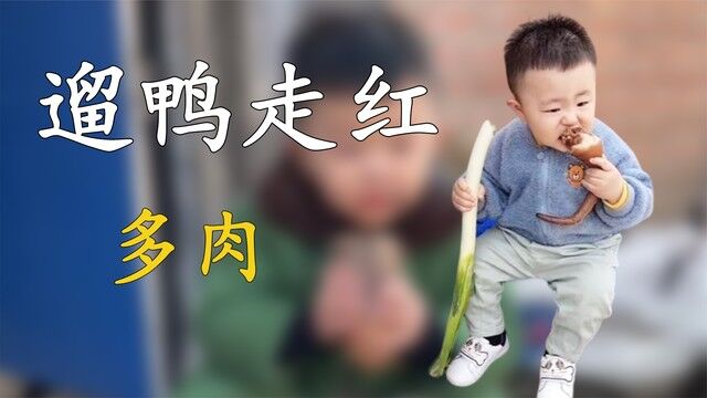 2岁小网红靠“遛鸭”圈粉千万,他到底是有何魅力