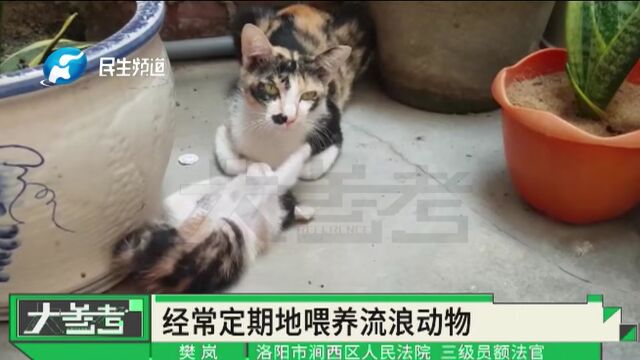 河南洛阳:小孩被流浪猫抓伤,物业拒绝赔偿,法院:物业承担70%责任