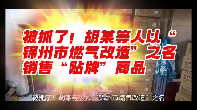 被抓了!胡某等人以“锦州市燃气改造”之名,销售“贴牌”商品