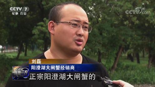 中央电视台《聚焦三农》栏目采访报道蟹一哥刘磊
