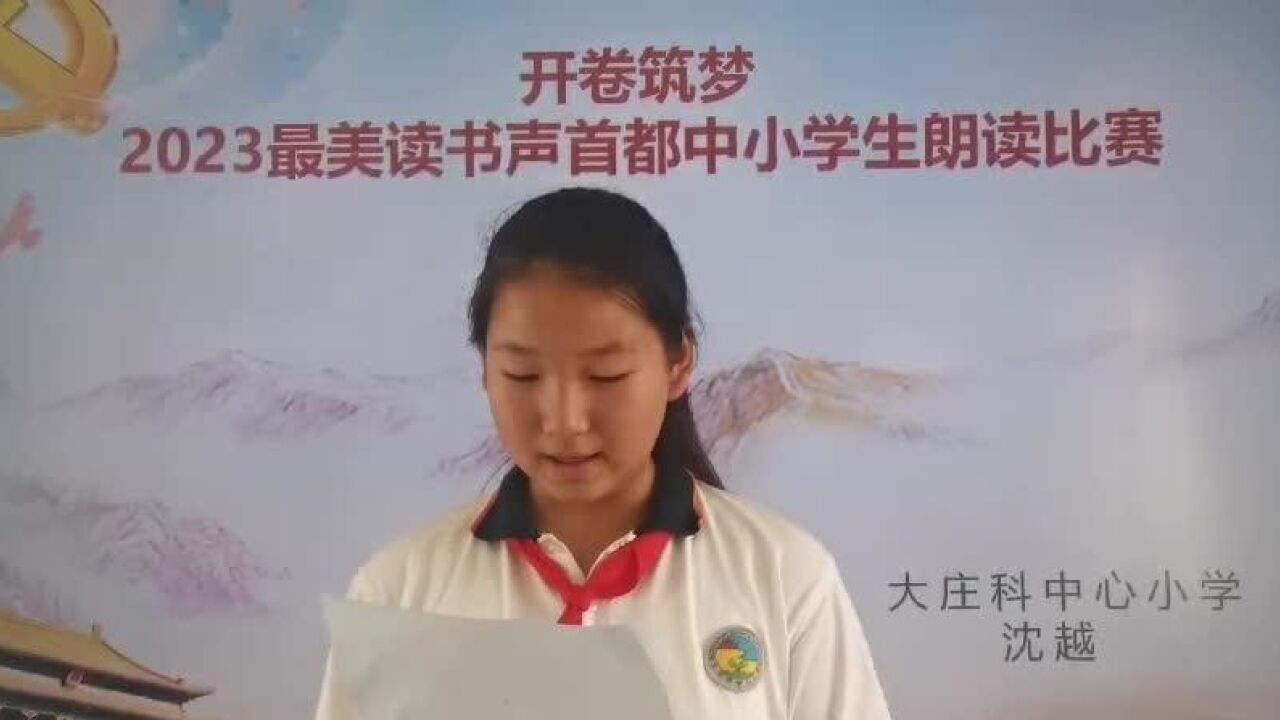 沈越大庄科中心小学小学组