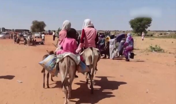 苏丹西达尔富尔地区冲突致约700人死亡