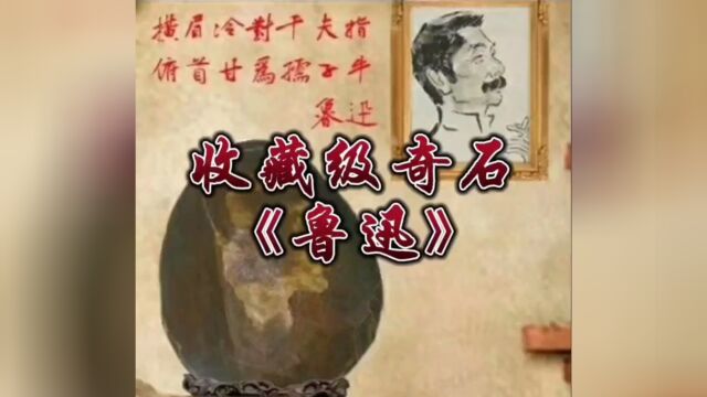 收藏级奇石《鲁迅》,顶级奇石,顶级收藏品