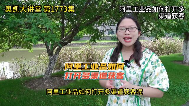 1773 阿里工业品如何打开多渠道获客