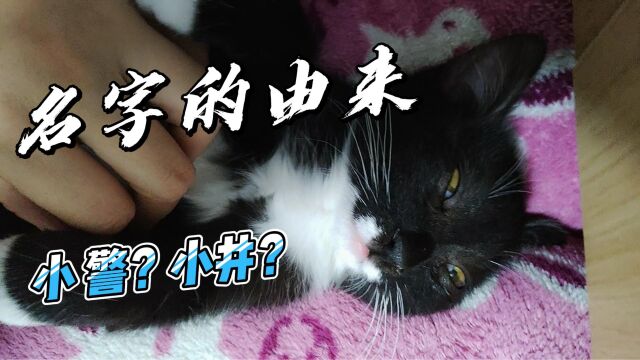 小警名字的由来