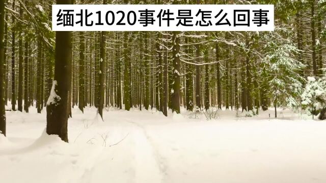 缅北1020事件到底是怎么回事