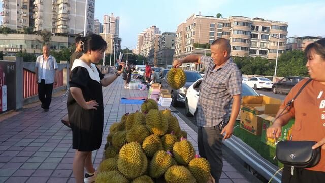 大家过来看下哦,今天的果型圆润饱满,个个报恩榴莲 #榴莲 #金枕榴莲 #徒手开榴莲