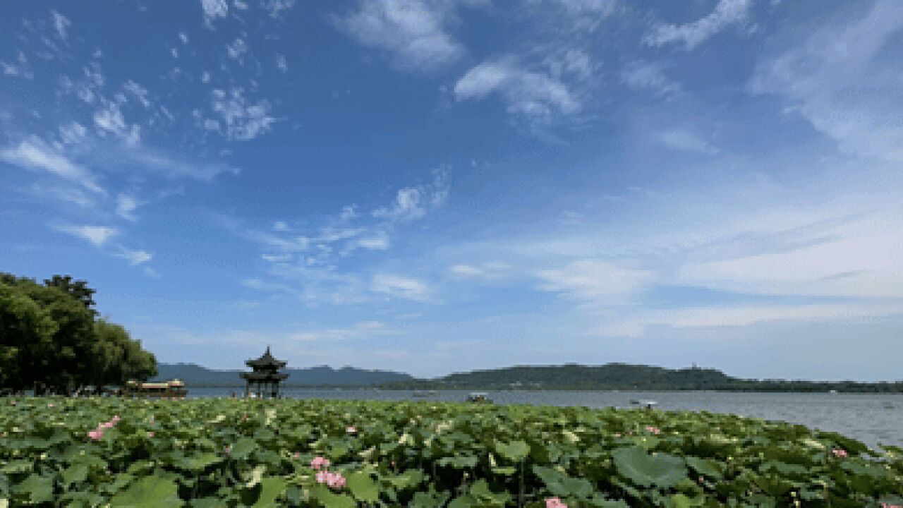 随手一拍就是大片!杭州持续高温,一起来看“西湖蓝”吧