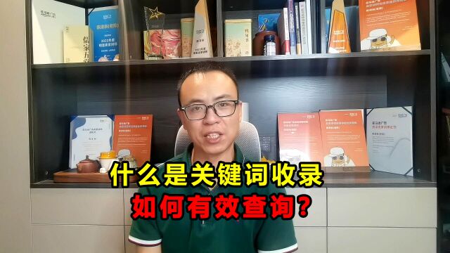 2分钟解答:什么是关键词收录,卖家如何有效查询?