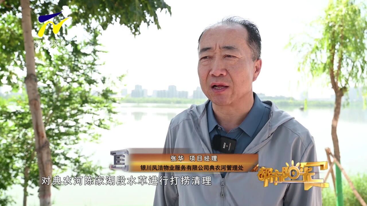 【阳光资讯】典农河:河道杂草清理整治工作正在进行