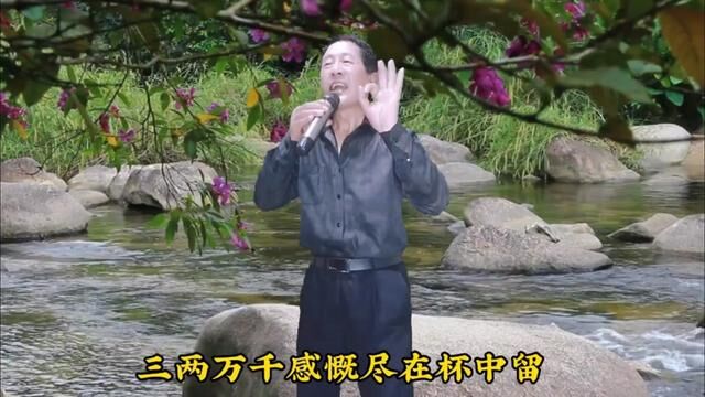 全网都在搜的新歌,歌词真实,旋律伤感,超级好听 #网络歌曲 #完整版 #真情演绎