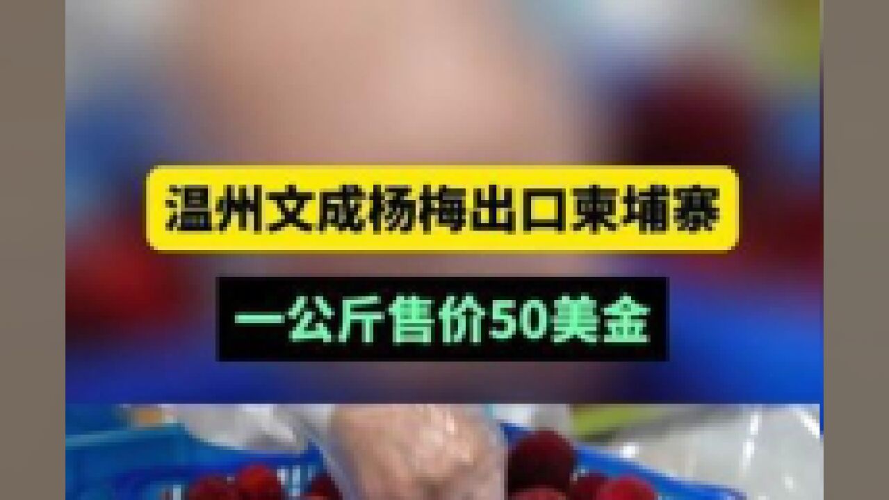 温州杨梅出口柬埔寨,每公斤50美元!,供稿:文成融媒体