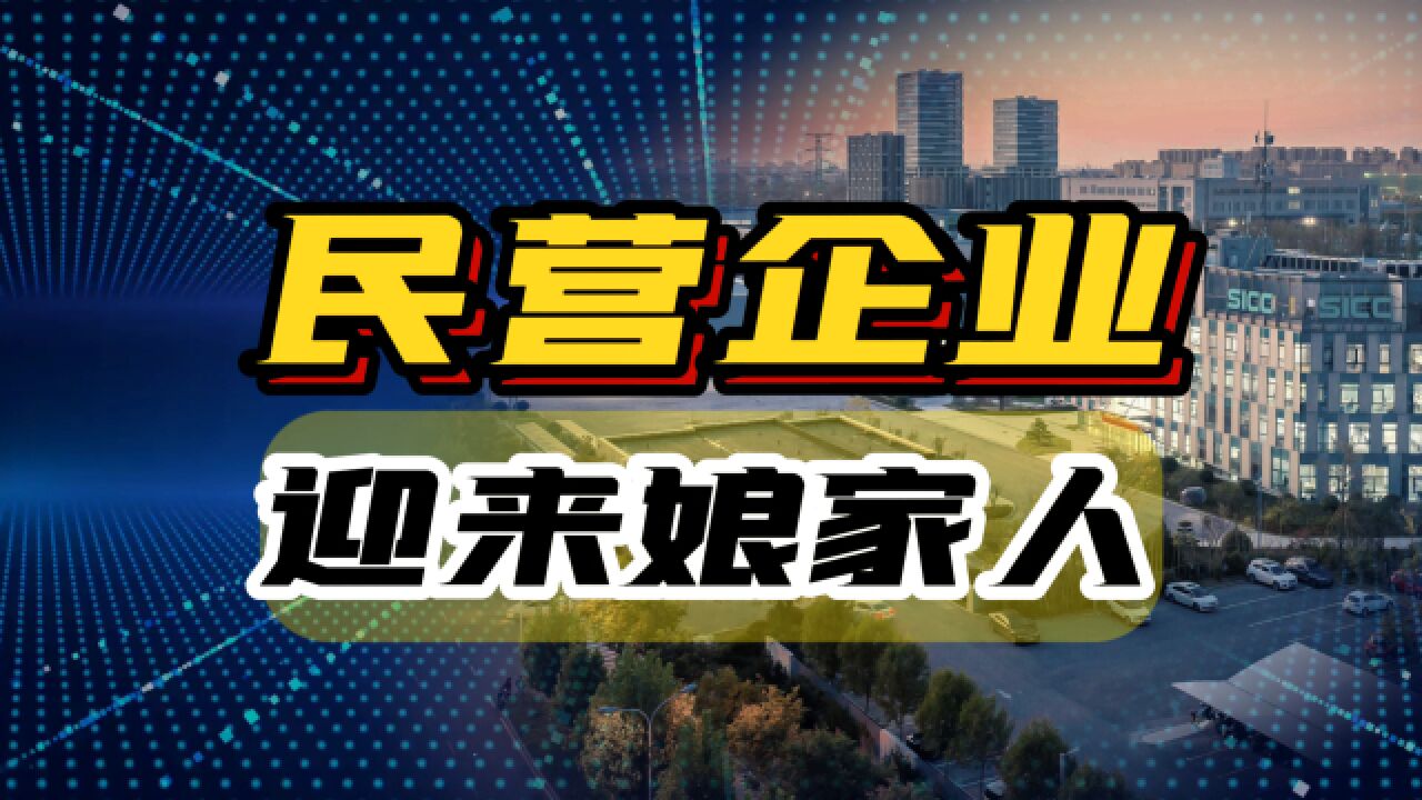 民营经济发展局挂牌成立,释放什么信号?