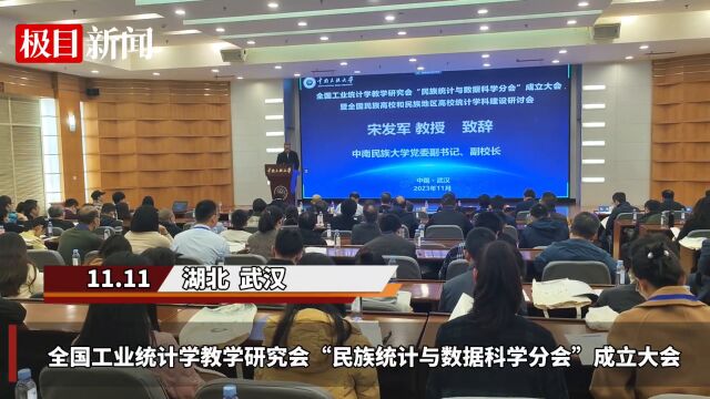 【视频】民族统计与数据科学分会成立大会在中南民族大学举行