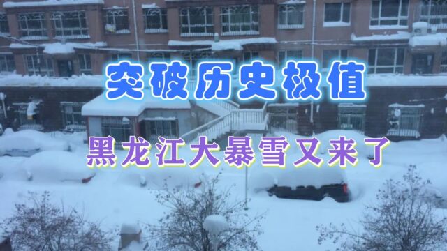 注意!黑龙江东部将有大暴雪,打破历史纪录,一文分析严寒的原因