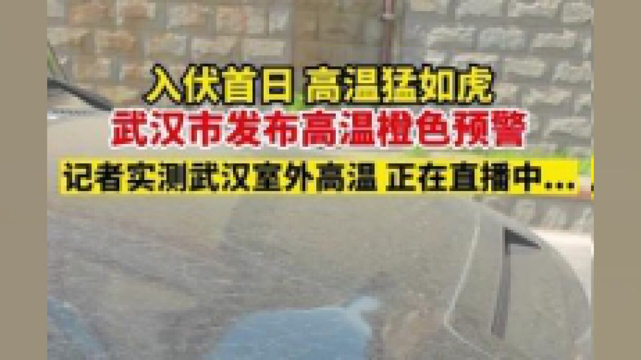 湖北省武汉市,武汉市发布高温橙色预警