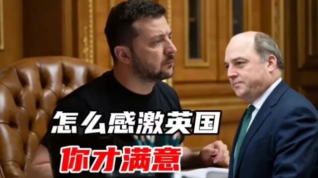 泽连斯基被英防长华莱士激怒,怎么感激英国才满意,你写信告诉我