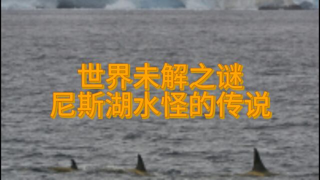 尼斯湖水怪,真实存在还是传说中的生物?