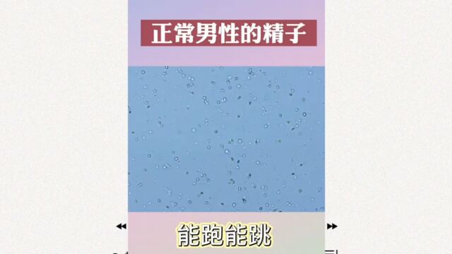 女性备孕前检查6大项|深圳怡康妇产医院