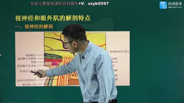 2024年阿虎医考344放射医学主治医师中级职称考试视频笔试押题考点题库培训精讲视神经和眼外肌的解剖特点