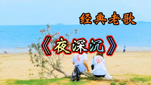 李娜《夜深沉》,好听,字正腔圆,韵味十足,无限美好